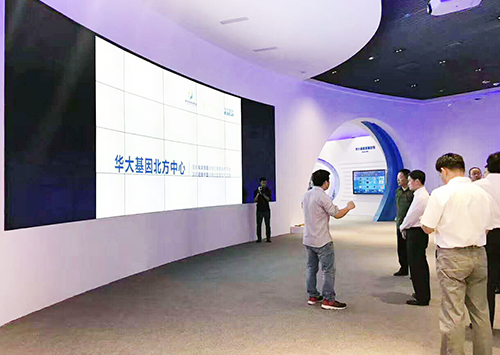 ����Ļƴ������ô�����������ӣ�