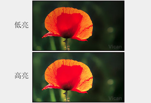 Һ��ƴ����������ô����